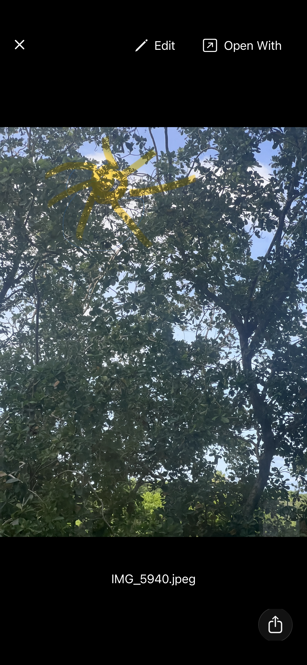 7 saved tf.PNG